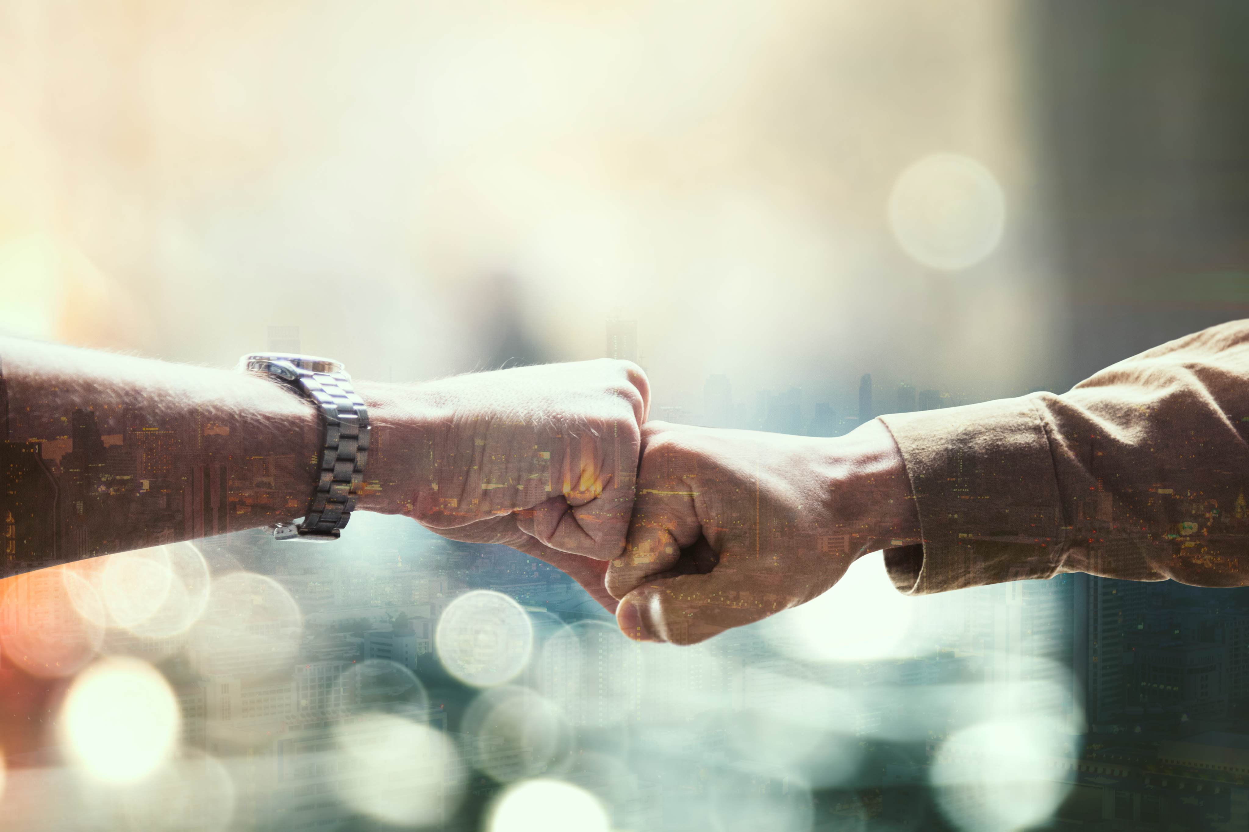Business Handshake